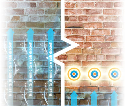 Dryrod eradicates damp.